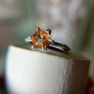 🐾 Let’s Make Magic 🐾